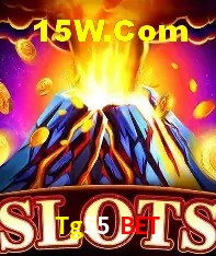 Integração de APIs Tg55 Bet